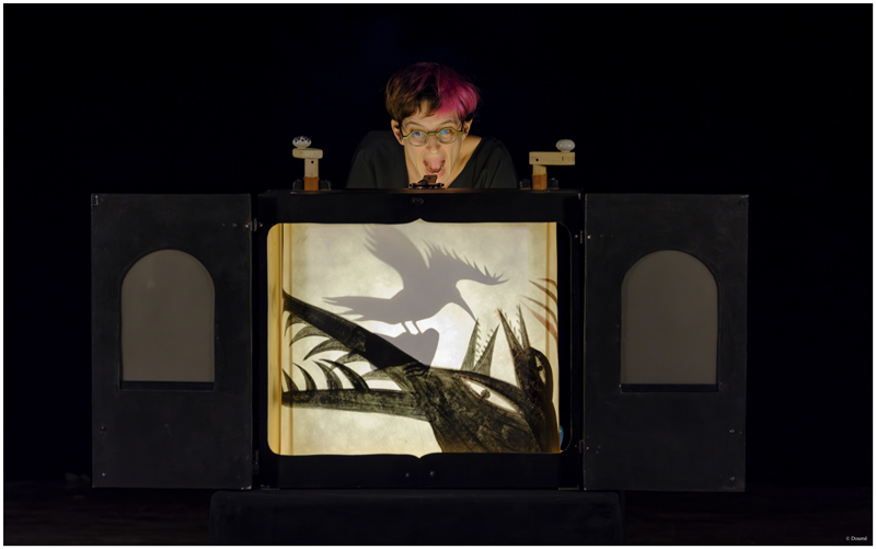 A l'ombre d'un rosier